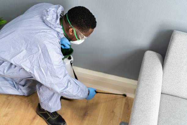 Best Pest Prevention Services  in Voorheesville, NY